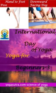 yoga for beginners series-2