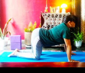 Cat and cow pose to get beautiful and healthy hair. #Hairyoga, yoga sequence for hair
