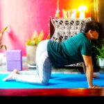 Cat and cow yoga pose