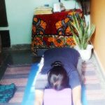 Child's Pose on yoga Blocks